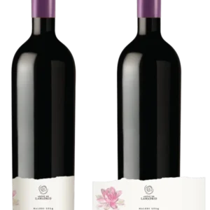 MICROVINIFICACIONES MALBEC 2025